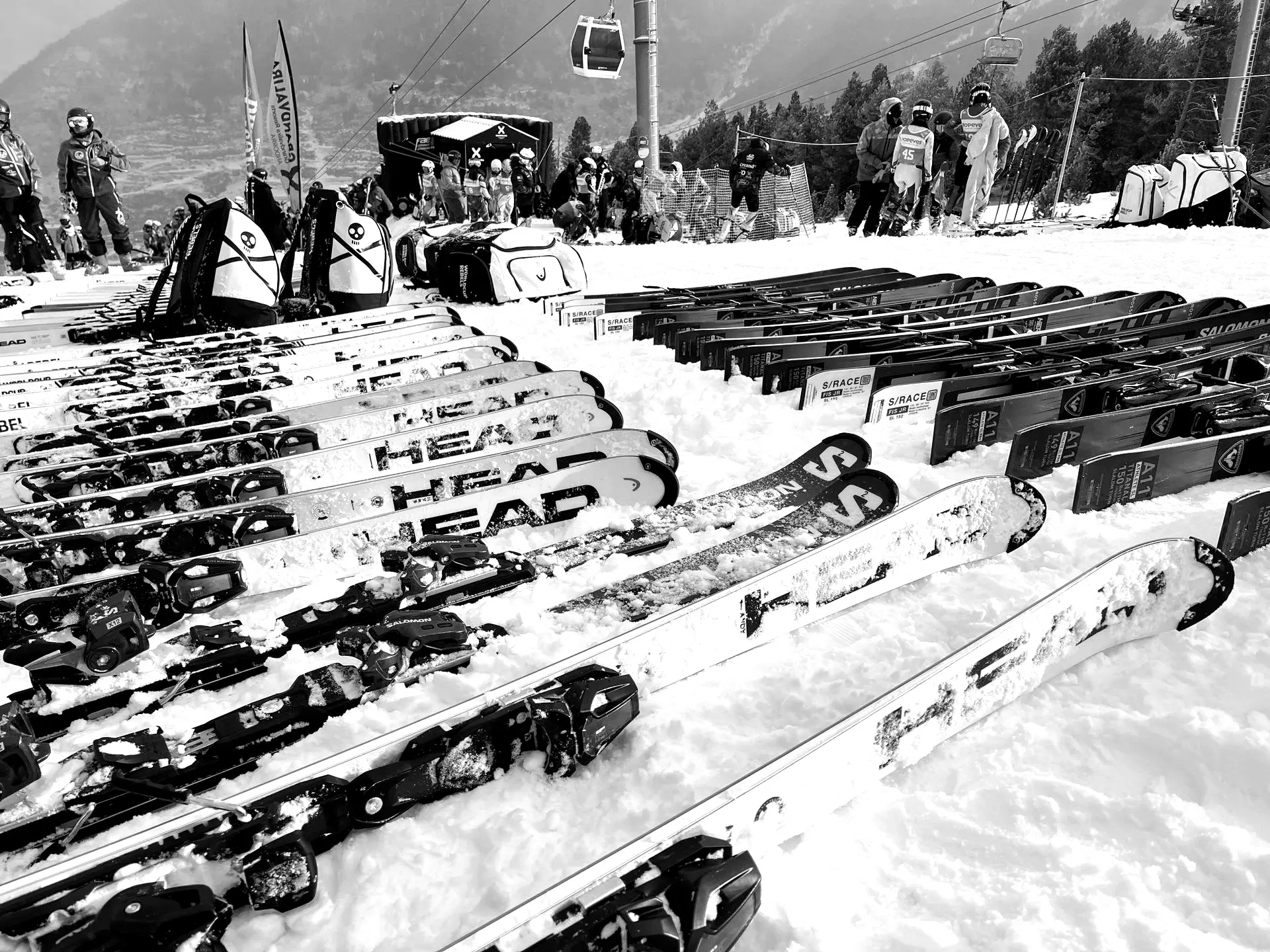 Ski 25-26 Skis 25-26